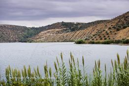 Image du Maroc Professionnelle de  Le Barrage Allal Al Fassi est situé dans la Province de Sefrou sur Oued Sebou avec un volume de stockage de 63.7 Mm3, il contrôle un bassin versant de 5.400 km2. Ce Barrage a été mis en service en 1990. But de l'ouvrage  production d'électricité, irrigation et protection contre les crues, Jeudi 8 septembre 2005. (Photo / Abdeljalil Bounhar) 